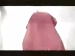 پابرهنه, بلوند, سوار ...
