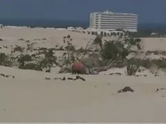 او با استفاده از, خو ...