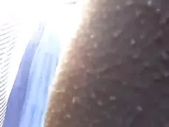 ستوده, سیگار بهترین  ...